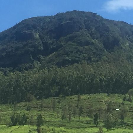 Perera Homestay Nuwara Eliya Bagian luar foto