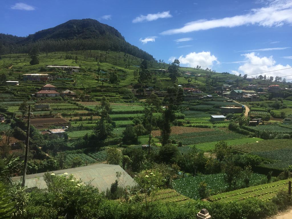 Perera Homestay Nuwara Eliya Bagian luar foto