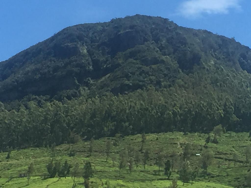 Perera Homestay Nuwara Eliya Bagian luar foto
